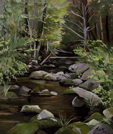 Beaver Brook, Oil on Canvas, 12 x 24 (sold) Beaver Brook, Oil on Canvas, 12 x 24 (sold)