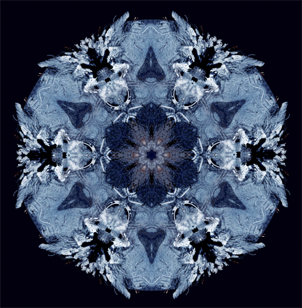 Ice Ice