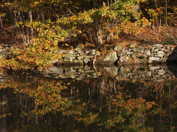 Stone Reflection, Reading, Vermont