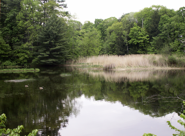 Gale River, Franconia, New Hampshire
