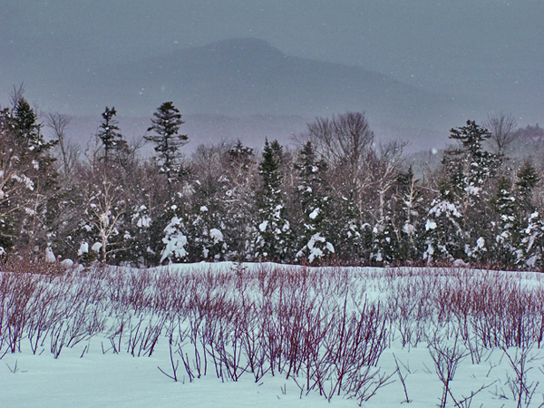 Snow Scene One on Kancamagus Highway, White Mountains, New Hampshire