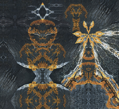 Lichen Lady & Lords Lichen Lady & Lords