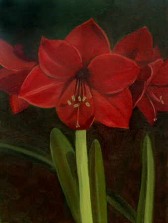 Amaryllis, Oil on Canvas, 9 x 12 