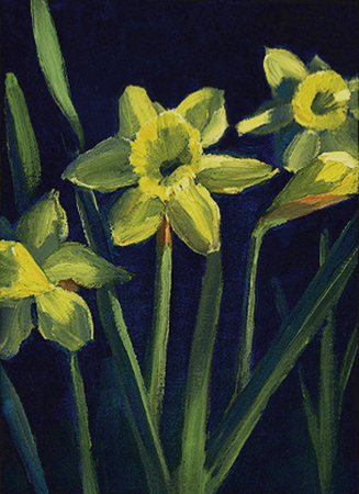 Daffodils, Oil on Canvas, 9 x 12 Daffodils, Oil on Canvas, 9 x 12